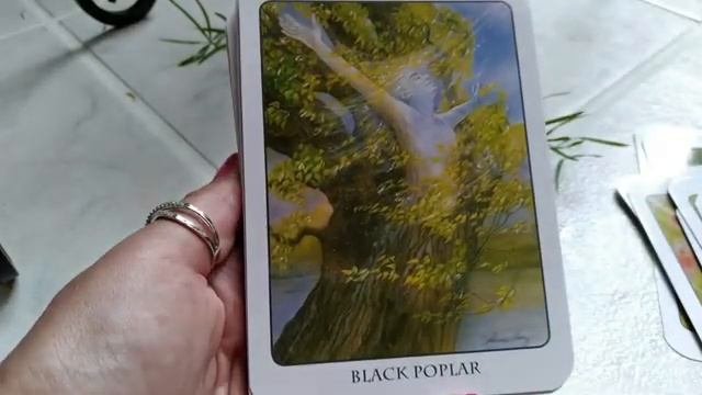 Traceyhd's Review Of The TREE ANGEL ORACLE DECK смотреть онлайн