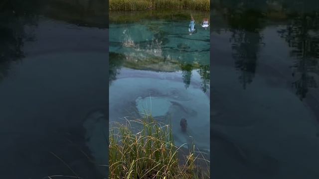 Самое время поехать на Алтай и просыпаться с видом на горы 🏔️