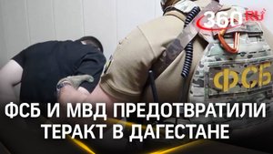 «Мы планировали напасть на полицейских, чтоб убить»: ФСБ и МВД предотвратили теракт в Дагестане