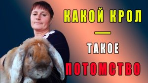 Какой крол - такое потомство