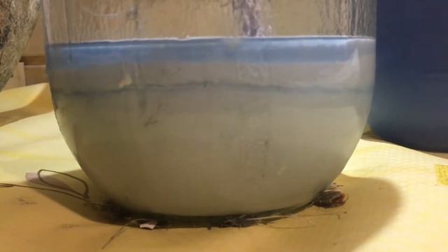 Стеклопластик ошибки Крокодилы Fiberglass