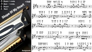 Sting - Shape Of My Heart │Губная гармошка