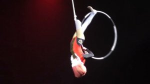 «Красная королева», воздушная гимнастика на кольце, Грибенко Мария