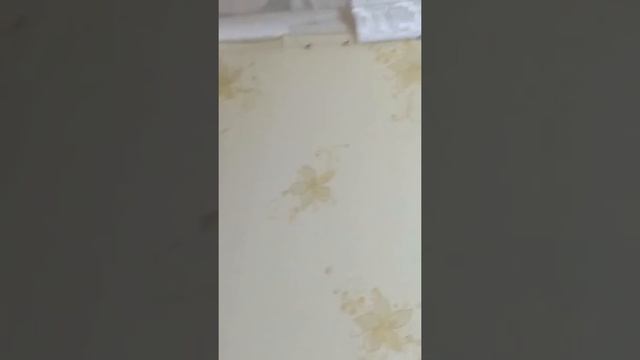 Ровное приклеивание Галтели в одиночку смотреть онлайн