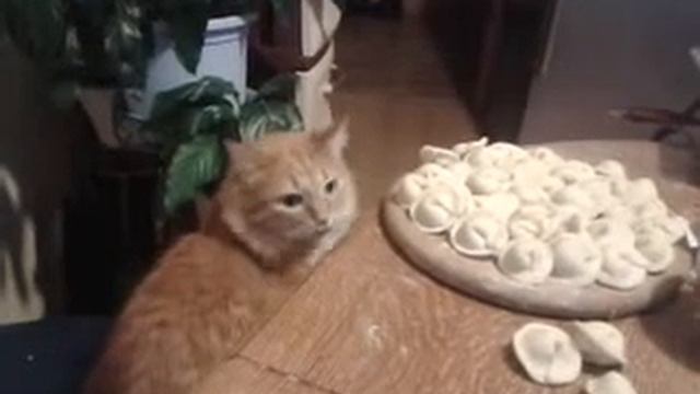 Крым.Нашествие Марсиан. смотреть онлайн