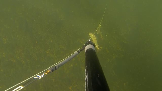 ХАРИУС - ДУПЛЕТ. ЕНИСЕЙ 14.04.2013 смотреть онлайн