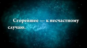 К чему снится ореховое дерево - Онлайн Сонник Эксперт