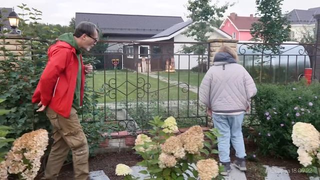 Цветники в природном стиле в осенний период. Беседа с ландшафтным дизайнером