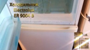 Холодильник Electrolux ER 9004 B