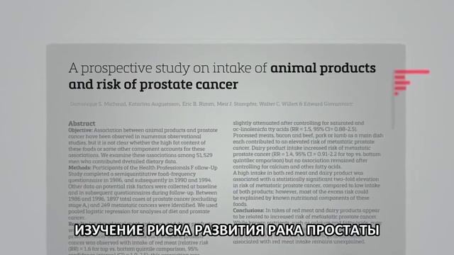 The Game Changers 2019 смотреть онлайн