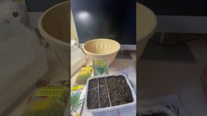 Посадка семян кактусов и не только ??