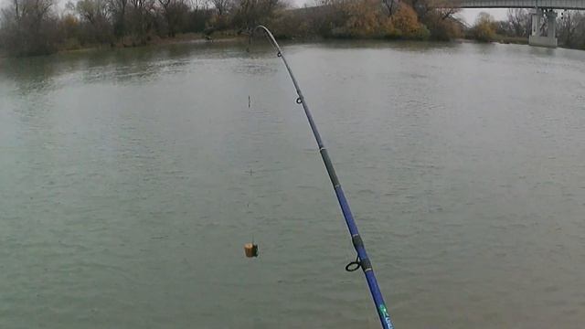 Скучная рыбалка на Кубани.26.11.2022.Темрюк.Краснодарский край. смотреть онлайн