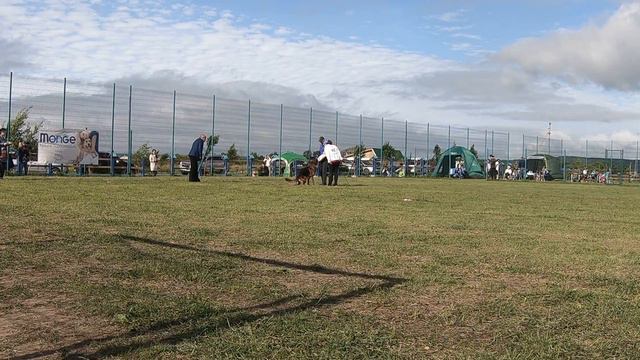 ДВ КУБОК РСЛНО , 11 июня 2О18г. смотреть онлайн