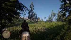 Grizzly Kill With Throwing knives Without Taking Damage - Red Dead Redemption 2 PC