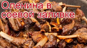 Рецепты из оленины - как приготовить северного оленя пошаговый рецепт - Оленина в соевой заливке