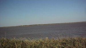 природа  . речка и камыши . небо