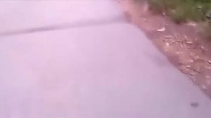 девушки легкого поведения