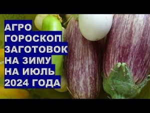 Агрогороскоп заготовок на зиму на июль 2024 Agrohoroscope of winter preparations for July 2024