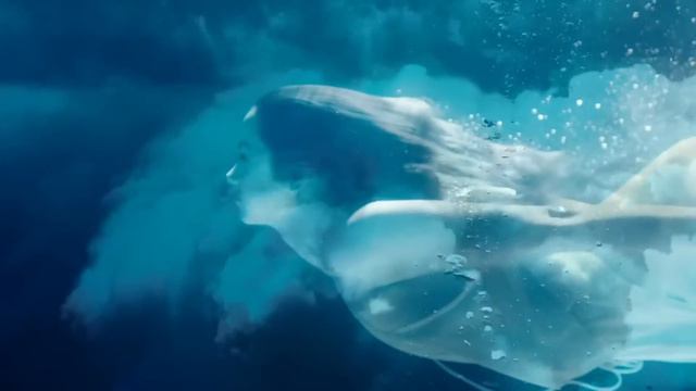 Lady, Lady, Lady - Joe Esposito (Ana de Armas) смотреть онлайн