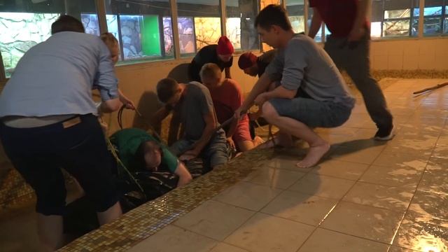 Полутонный крокодил. Как это было! смотреть онлайн