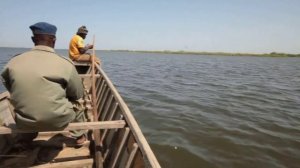 Чад. Прогулка по озеру Чад. Lake Chad.