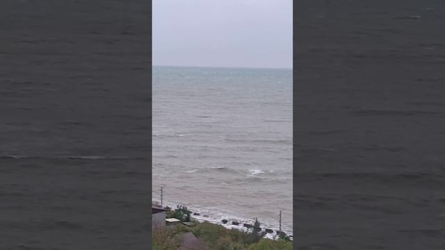 vlog? море ?