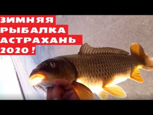 Астрахань.Бузан,Ахтуба. Зимняя рыбалка 2021.САЗАН,ПОДЛЕЩИК,РАК.