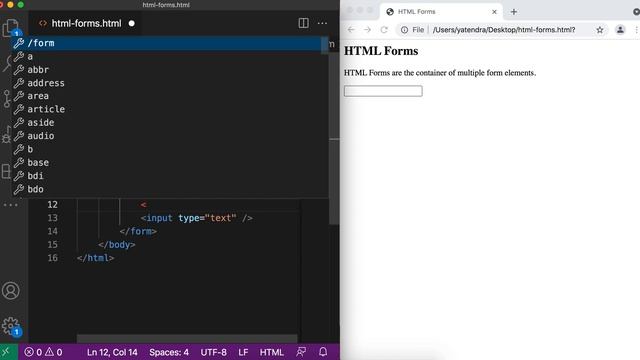 Create login form using input text, password, submit and label element | HTML Forms | Let's Learn