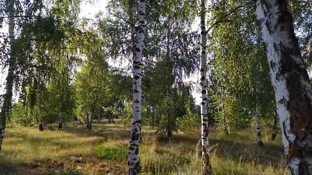 11 сентября-УСЕКНОВЕНИЕ ГЛАВЫ ИОАННА ПРЕДТЕЧИ. Самая сильная МОЛИТВА. 11 главных правил. смотреть онлайн