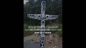 Salif Keita - Madan (Martin Solveig Exotic Disco Mix) sped up + reverb