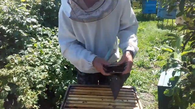 Приятная неожиданность!!!