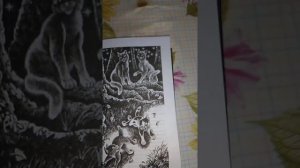 Обзор на книгу коты водители гроза и тень