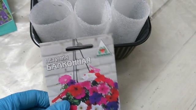 # 281. Посев Лаванды и Петунии 2024. Загородная жизнь с нуля 2024