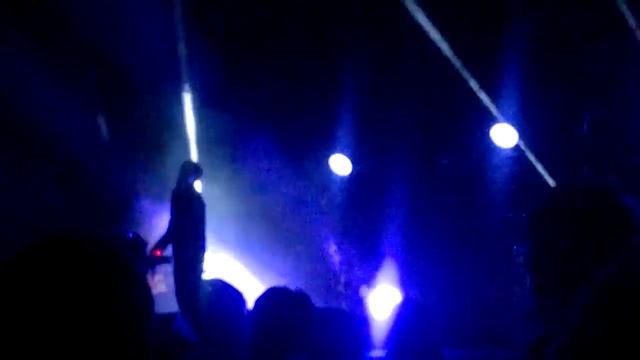 Дельфин танцует | песня ТЕМНО смотреть онлайн