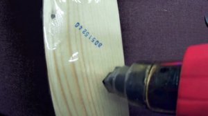 ЭТА ЦИКАДА РЫБУ НЕ ЛОВИТ ОНА ЕЁ ЖРЕТ   :)))