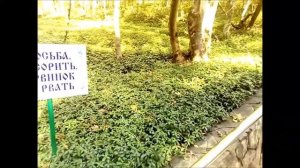 Чудеса Феодосия Кавказского. Поездка Анапа - Горный