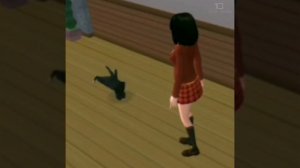 Sims Cat Breakdancing 10 Hours