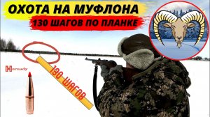 Муфлон 130 шагов по планке! Sako 308Win.mp4