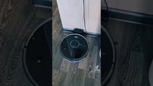 колонка Алиса и пылесос ругается