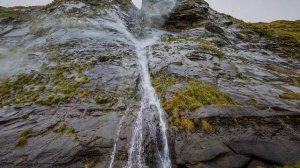 Остров Беринга |  2017