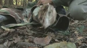 Носилки для раненого в лесу