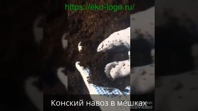 Конский навоз в мешках от "Эко-Лого" смотреть онлайн