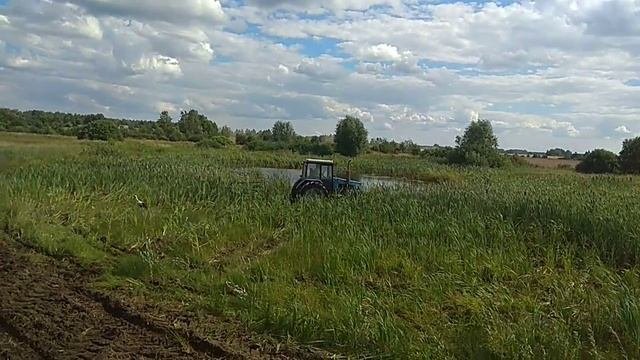Папоротное