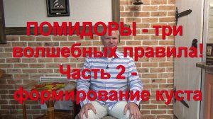 65. ПОМИДОРЫ - три волшебных правила! Часть 2 - формирование куста. Пасынки, обрезка листьев.