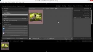 Импорт изображений в лайтрум. Как импортировать изображения в Lightroom?