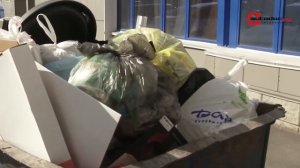 Как оспорить штраф за парковку у мусорного контейнера?