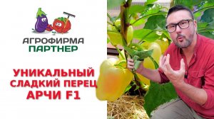 УНИКАЛЬНЫЙ СЛАДКИЙ ПЕРЕЦ АРЧИ F1