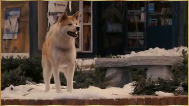 Хатико. История любви смотреть онлайн