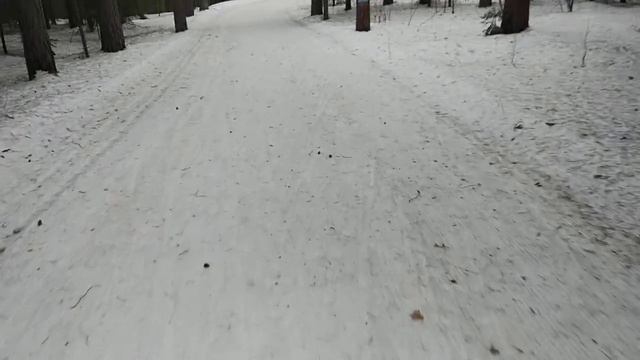 Лыжня посёлок Цюрупы///Закрываем лыжный сезон///Лыжи в удовольствие