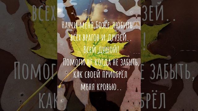 научи меня Боже любить...#библия #Бог#видео #стихи #стихиизбиблии